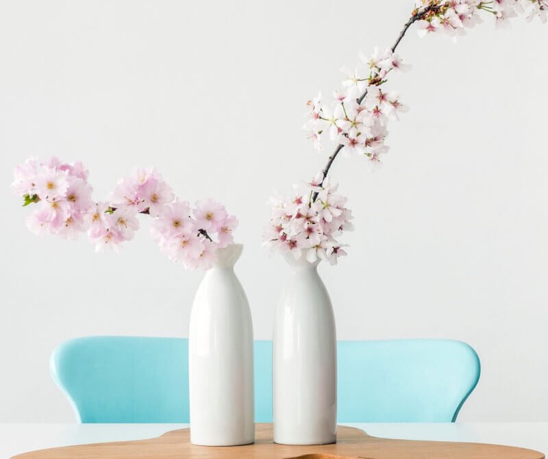 post-lifestyle-bg-21