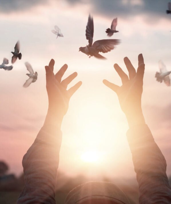 Finding Serenity in Turbulent Times